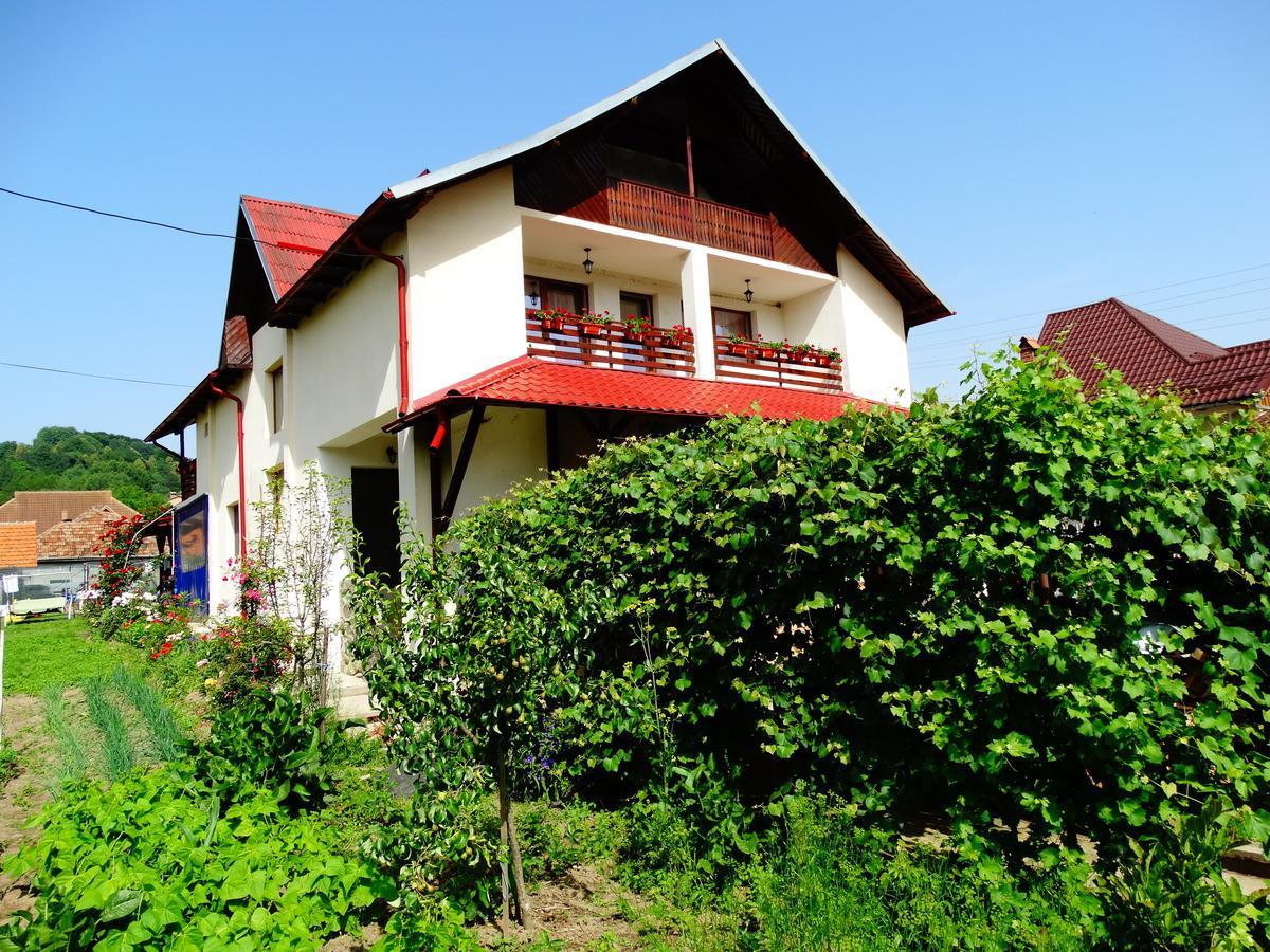 Pensiunea Casa Elena Corbeni Bagian luar foto